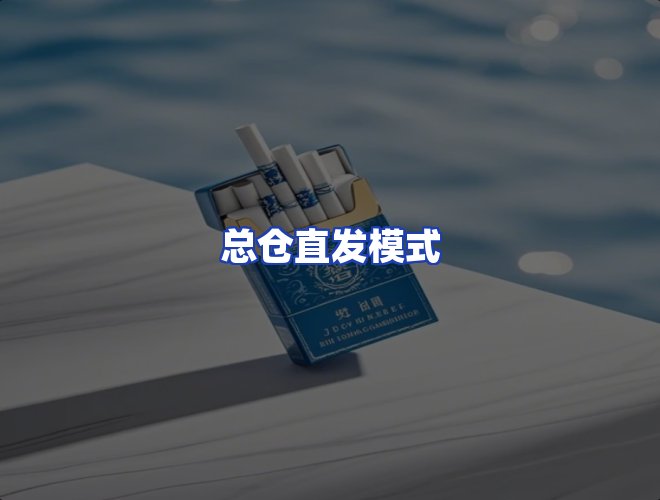 专业团队